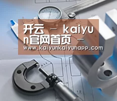 研发能力标题一(图1) 研发能力标题一(图1)