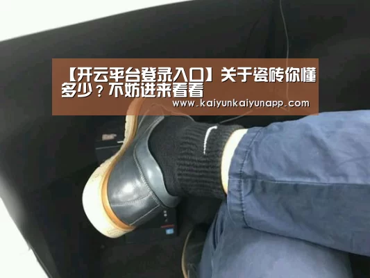 【开云平台登录入口】关于瓷砖你懂多少?不妨进来看看(图2) 开云平台登录入口
