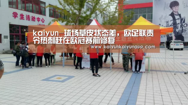 kaiyun-球场草皮状态差,欧足联责令热刺赶在欧冠赛前修复(图1) 开云体育电脑