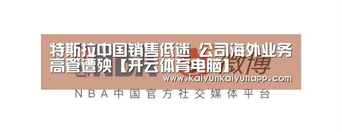 开云平台登录入口