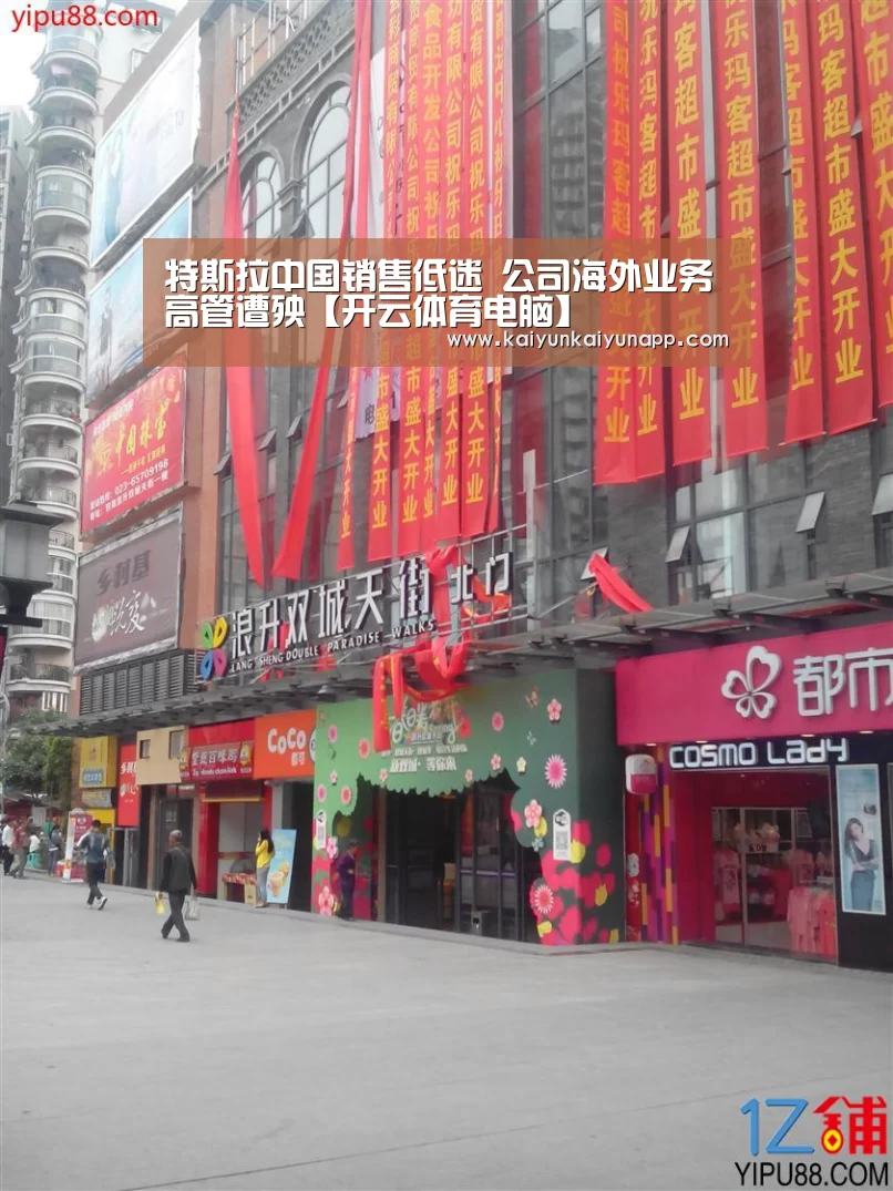 特斯拉中国销售低迷 公司海外业务高管遭殃【开云体育电脑】(图3)