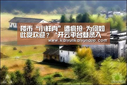 楼市“小鲜肉”遭疯抢 为何如此受欢迎?‘开云平台登录入口’(图2) 楼市“小鲜肉”遭疯抢 为何如此受欢迎?‘开云平台登录入口’(图2)