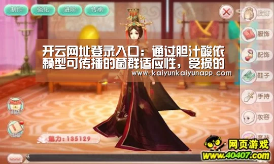 开云平台登录入口