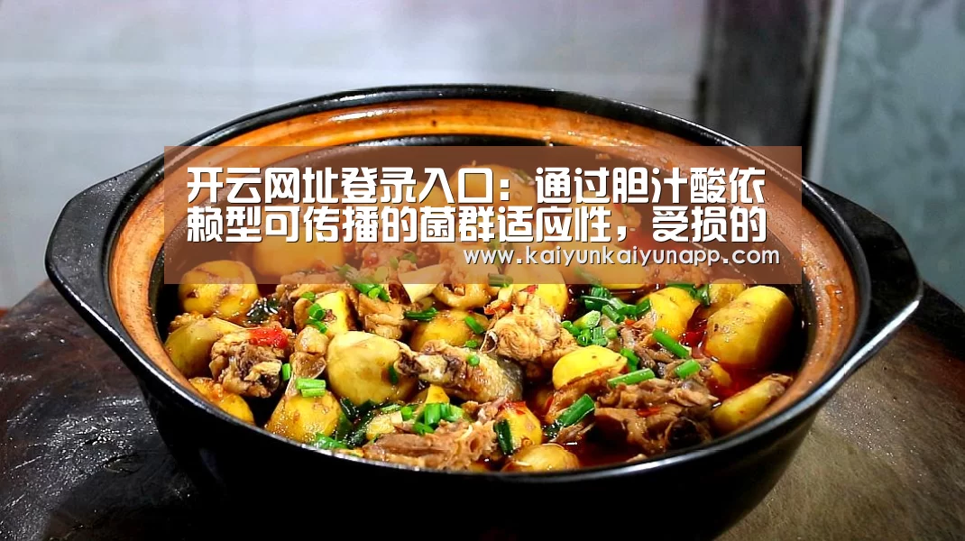 开云网址登录入口：通过胆汁酸依赖型可传播的菌群适应性，受损的乳糜蛋白微粒组装改变肝脏代谢(图2)