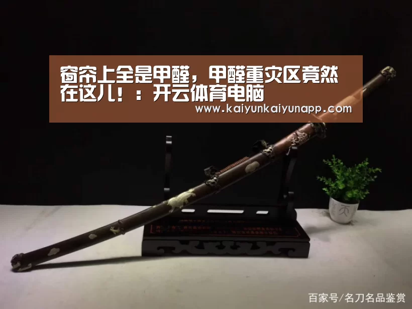 开云网址登录入口