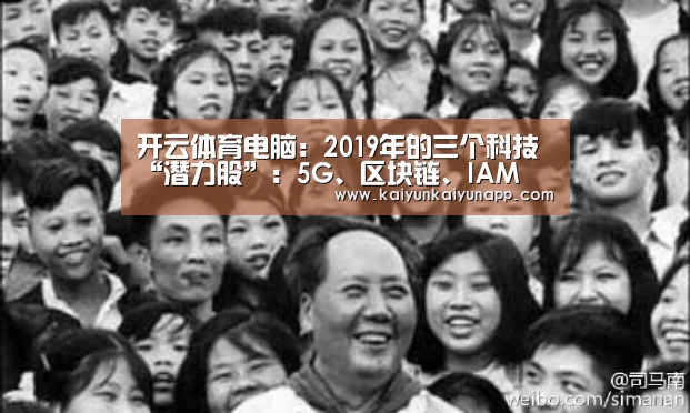 开云体育电脑：2019年的三个科技“潜力股”：5G、区块链、IAM(图3)