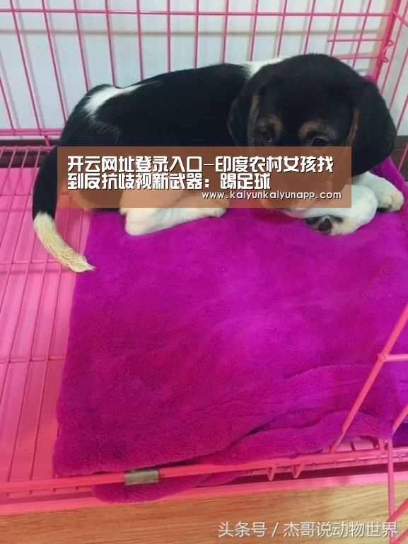 开云网址登录入口-印度农村女孩找到反抗歧视新武器:踢足球(图1) 开云平台登录入口