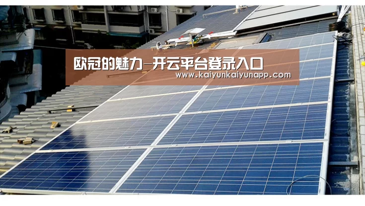 欧冠的魅力-开云平台登录入口(图1) 开云体育电脑