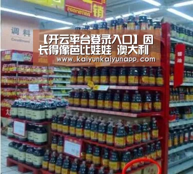 开云网址登录入口