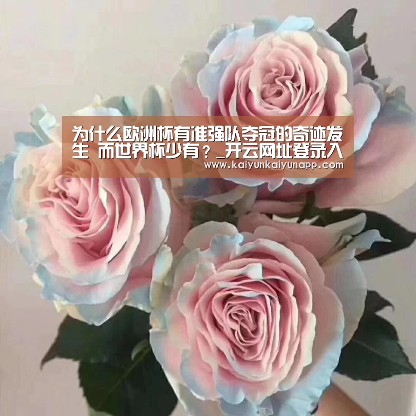 为什么欧洲杯有准强队夺冠的奇迹发生 而世界杯少有?_开云网址登录入口(图2) 开云网址登录入口