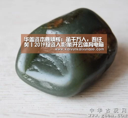 华盖资本鹿炳辉:虽千万人,吾往矣丨2019投资人影像|开云体育电脑(图1) 开云平台登录入口